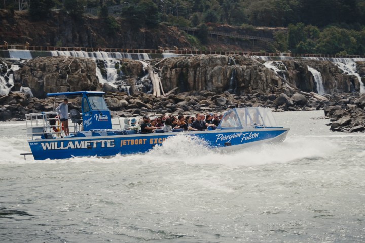 Blue jetboat with passengers speeding past a rocky waterfall landscape.