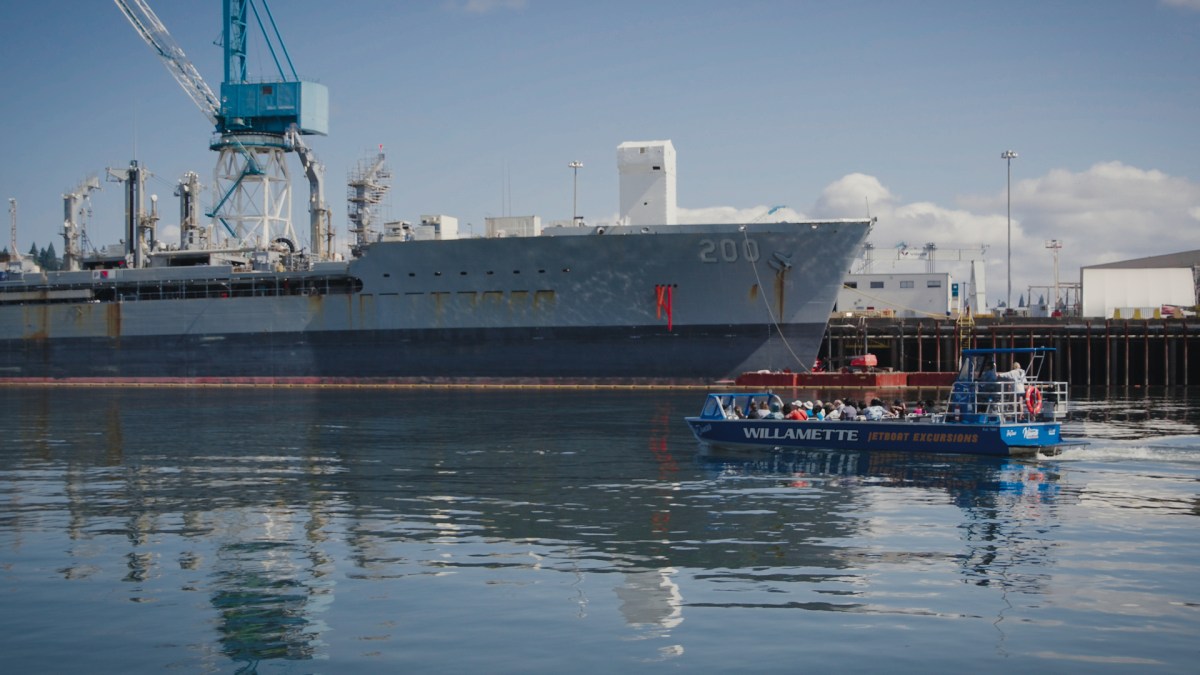 Tour boat passing large docked ship at a port under a blue sky.
